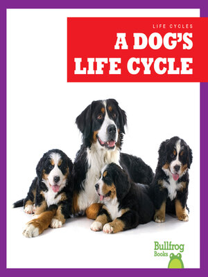 cover image of A Dog's Life Cycle